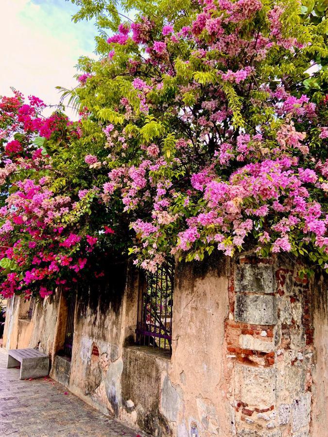 Boutique Hotel Casa Grande Santo Domingo Kültér fotó